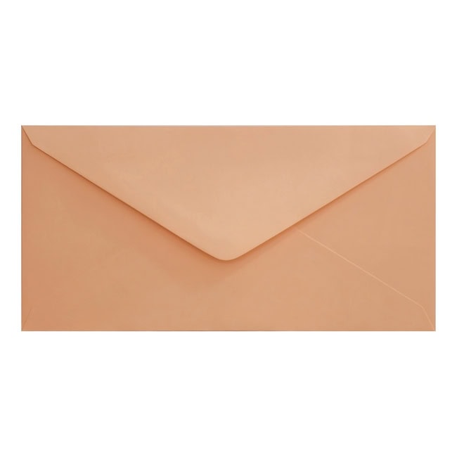 Clariana Pale Salmon Envelope Dl Closed