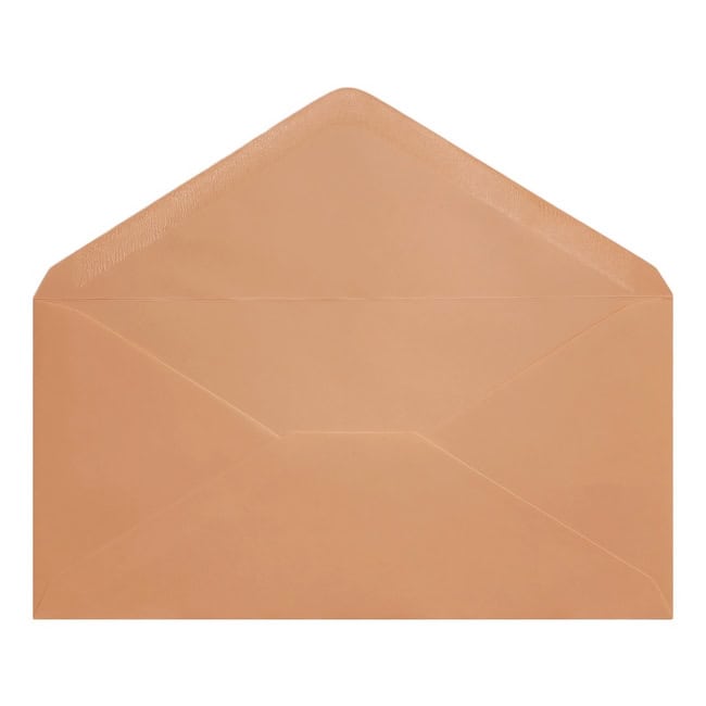 Clariana Pale Salmon Envelope Dl Open