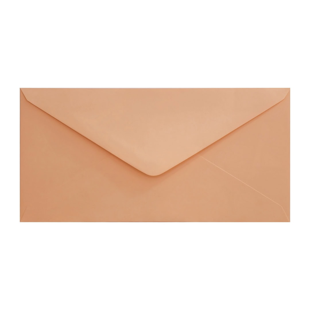 Salmon Pink 110mm x 220mm DL Envelope. Gummed. 120gsm V-Flap.
