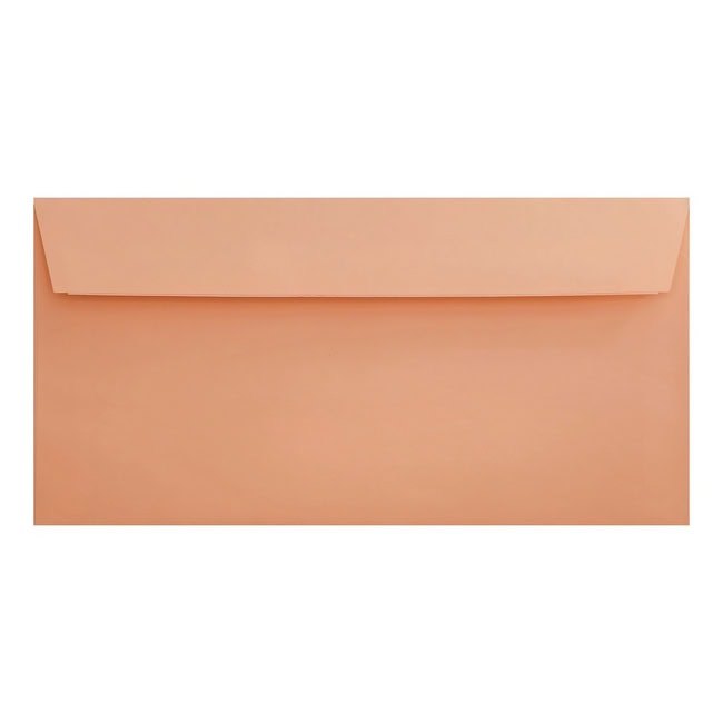 Clariana Pale Salmon Envelope Dl Wallet Closed