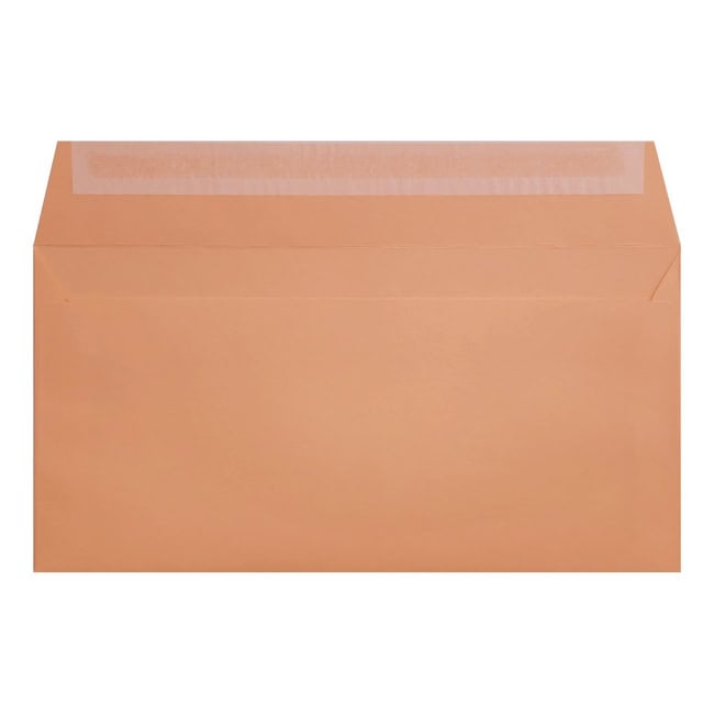 Clariana Pale Salmon Envelope Dl Wallet Open