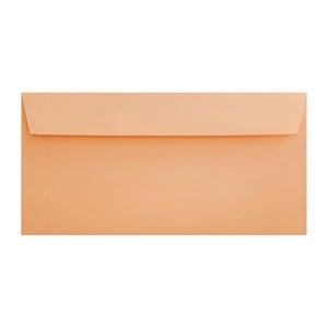 Clariana Pale Salmon Envelope Dl Wallet Ratio