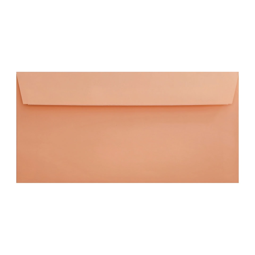 100 Salmon Pink 110mm x 220mm DL Envelopes. Peel/Seal. 120gsm Wallet Flap. Value Pack.
