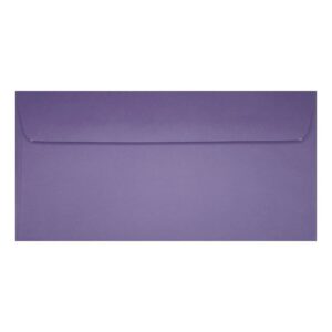 Clariana Purple Envelope Dl Wallet Closed