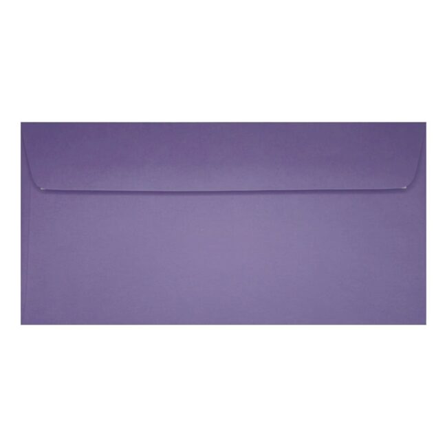 Clariana Purple Envelope Dl Wallet Closed