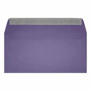 Clariana Purple Envelope Dl Wallet Open