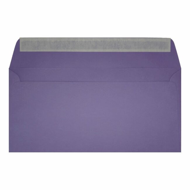 Clariana Purple Envelope Dl Wallet Open