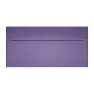 Clariana Purple Envelope Dl Wallet Ratio