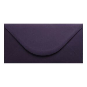 Aubergine Envelope Dl Closed