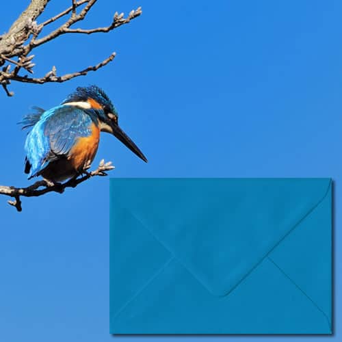 Kingfisher Blue Envelopes