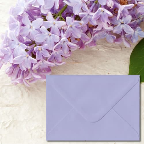 Dusky Lilac
