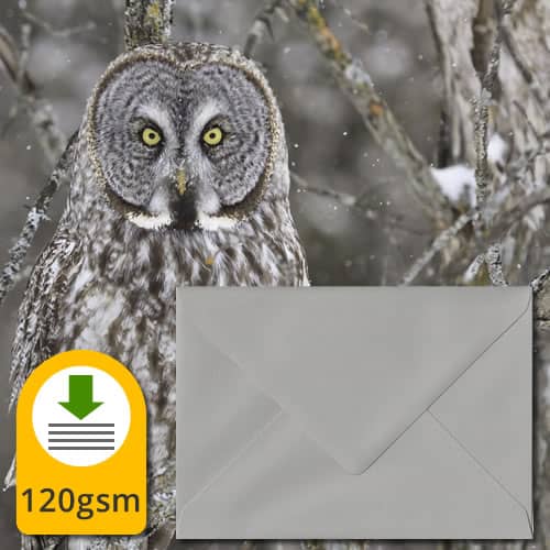 Owl Grey Envelopes