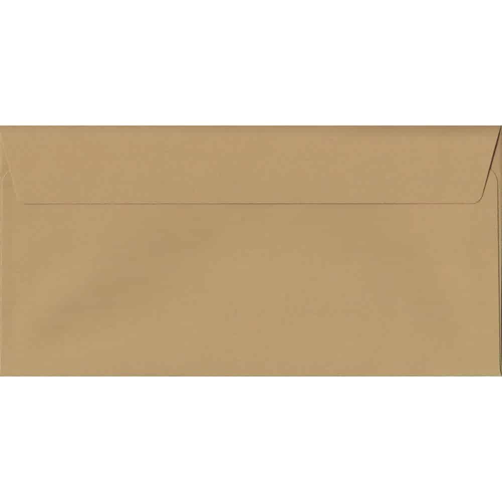 Beige 114mm x 229mm DL Value Pack. 100 Brown DL Envelopes.