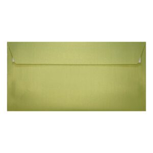 Lime Green Pearl Envelope Dl Closed