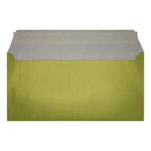 Lime Green Pearl Envelope Dl Open