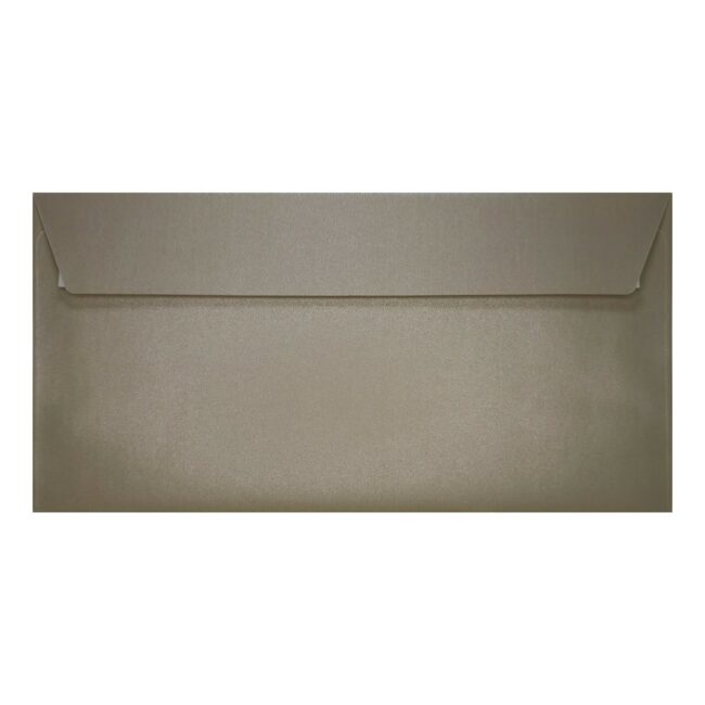 Silver Pearl Envelope Dl Closed