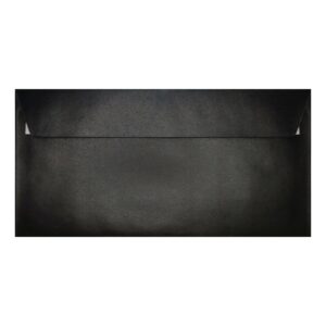 Slate Black Pearl Envelope Dl Closed