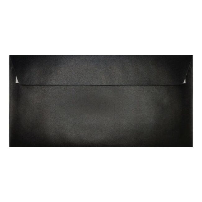 Slate Black Pearl Envelope Dl Closed