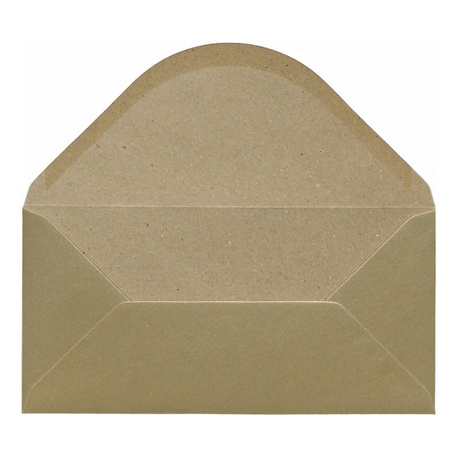Champagne Kraft Envelope Dl Open