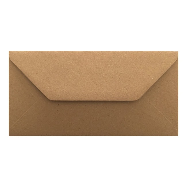 Fleck Kraft Envelope Dl Closed