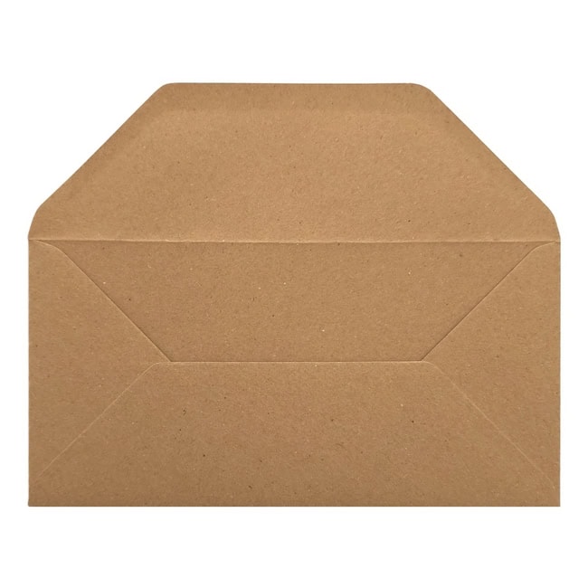 Fleck Kraft Envelope Dl Open