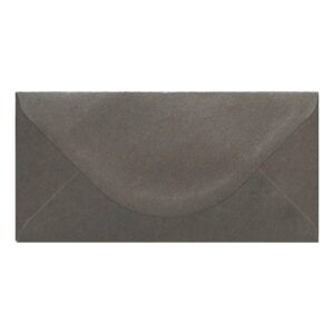Pewter Kraft Envelope Dl Closed