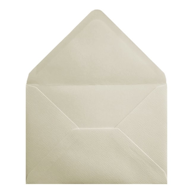 Accent Magnolia Envelope 5x7 Open