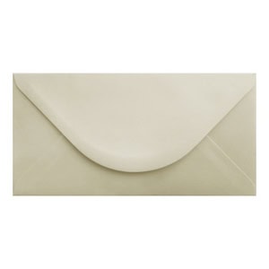 Accent Magnolia Envelope Dl Closed