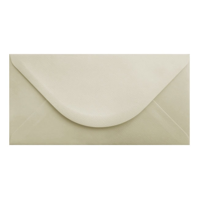 Accent Magnolia Envelope Dl Closed